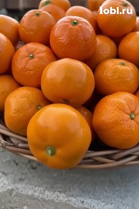 ��������� ������������ �������