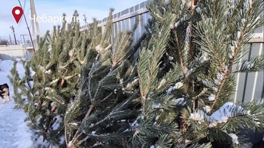 � ����������� ������� � ������ ��� ����� ����������� ��������� ����� ������� ������� ��������