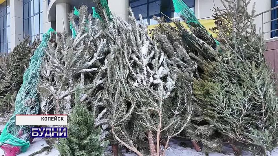 ����� ���� �������� ����, ������ � �������� � ��������� ������� � �������