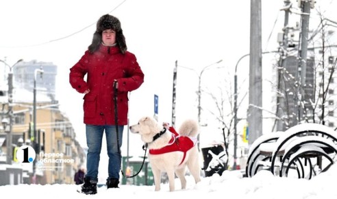 ��� ���������� �������� ����� �������� ���� � 2025 ����