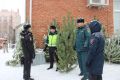 В Троицке полицейские совместно с коллегами из ГУ МВД региона провели профилактические рейды в рамках операций «Ель» и «Пиротехника»
