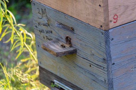 ��������� ����� ������ �� ����: ������ �������� 30 ����� ������ �� ��, ��� ��� ��������� �������� �������