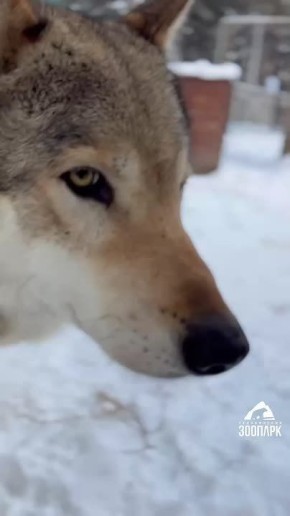 ������ �� �� ���������� ����� � �������, ��� ���� ���� ������ �� ������������ ��������?