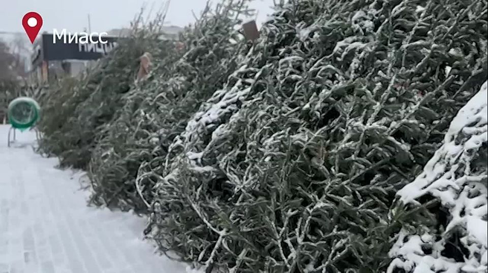 ������� ����������� ������� ��������� �������� �� ����������� ���������� ���� � ���� ��� �����