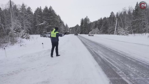 Лесная охрана на Южном Урале перешла на особый режим работы