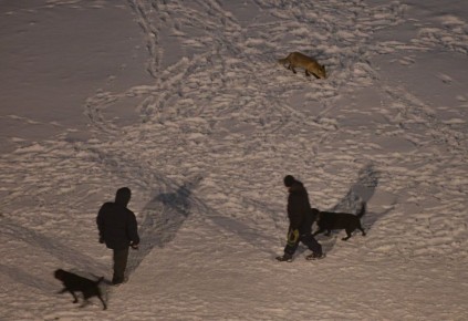 ��� ��� ���� ����� �� ������ ���������� � ��������