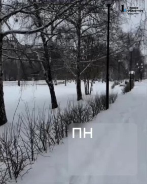 ����� ������������ � ���������