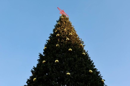 ���� �������� ������� �������� ������� � �������������