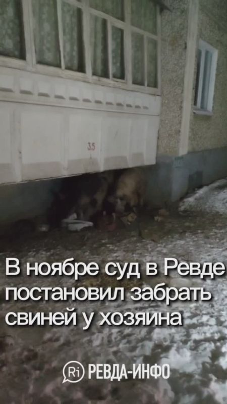 ������ ������������� ������� ������ � ������������ �������