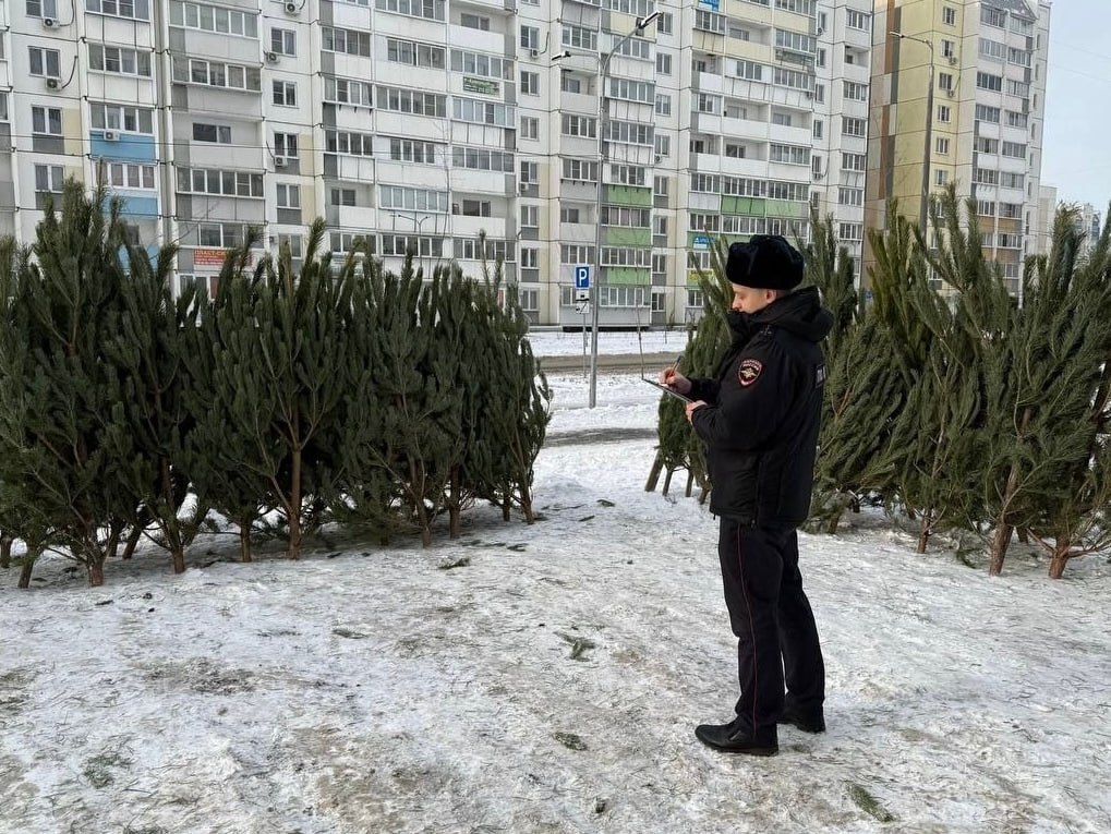 В Челябинске полицейские изъяли более 1,3 тысячи хвойных деревьев у нелегальных продавцов