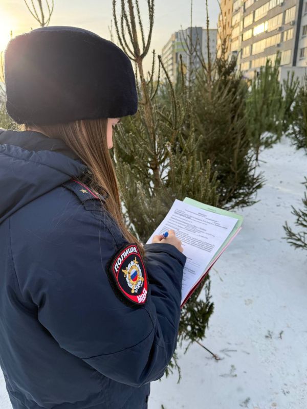 Полицейские Челябинска выявили свыше 80 нарушений при продаже хвойных деревьев