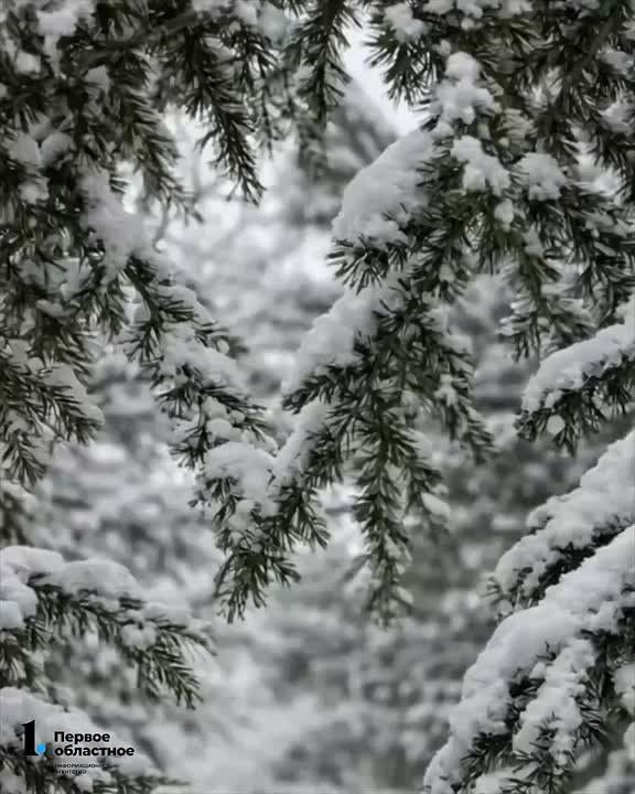 ���������� � ������ ��������� ������