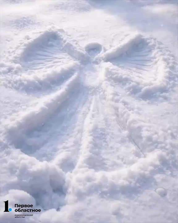 ���-���! ���������? �� ������-�� ����