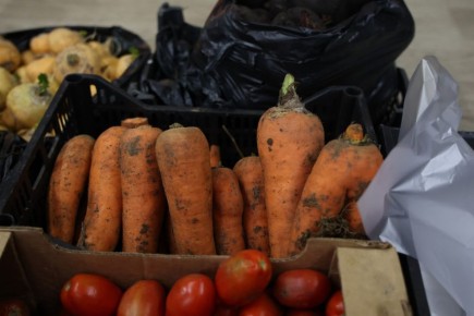 Яйца и овощи подорожали в Челябинской области в ноябре