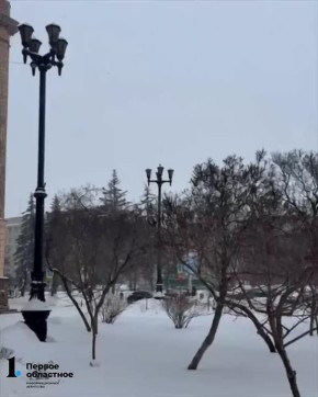 � ���� ���� ������ �������� ����� �� ��������