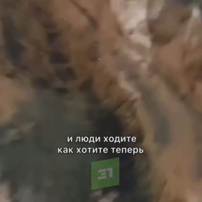 �������, ��� ������. ������ ������������ �� ���������� ������ ������� ����� ��. ������������