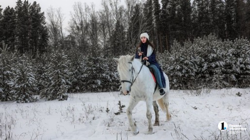 ��������� ������ � ������� �� ������ �������� � ��������� ���������