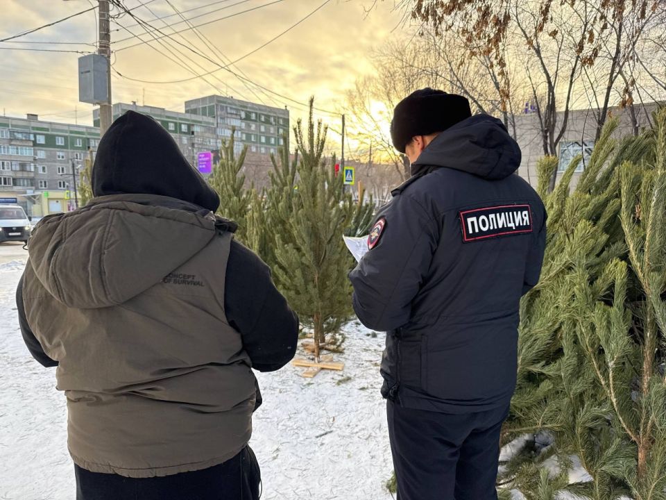 В Челябинской области полицейские изъяли более трех тысяч хвойных деревьев в ходе операции «Ель»