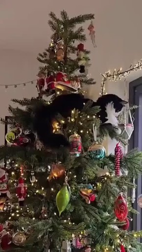 #������������31. ������� �������� ���� ������� ������� ����� ����������� ��� �������������� ���������� ������� � �������� � ������������������� ����� ��� �������� ��� �����!