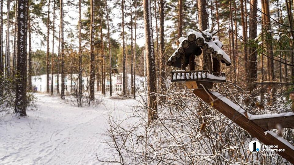 ������� ������ ������� ����������� ������� ���� 26 �������