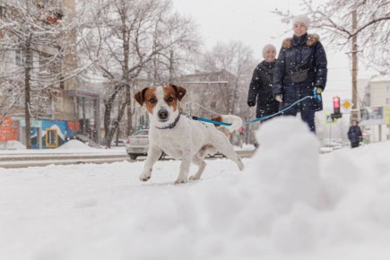 �������� �������� ����� ����� ����� � ����������