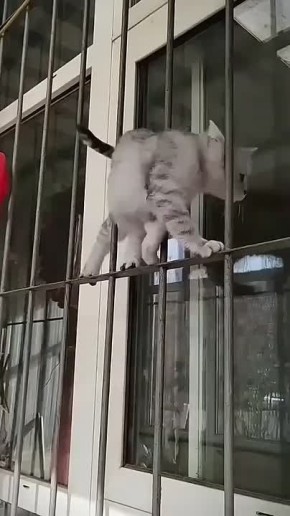 #������������31. ��� � ������� � ����� �������� ������� ���� � �������������� ������ ����� � ���� ������������ ��������� ������� ������ ��������� ���� ���� � �������!