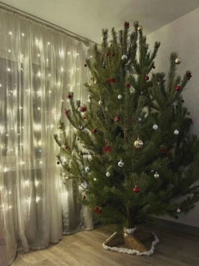 �������� ��������� ��������-���� � ����������