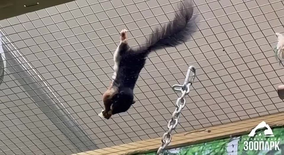 �������� � ����� ������������ ��������