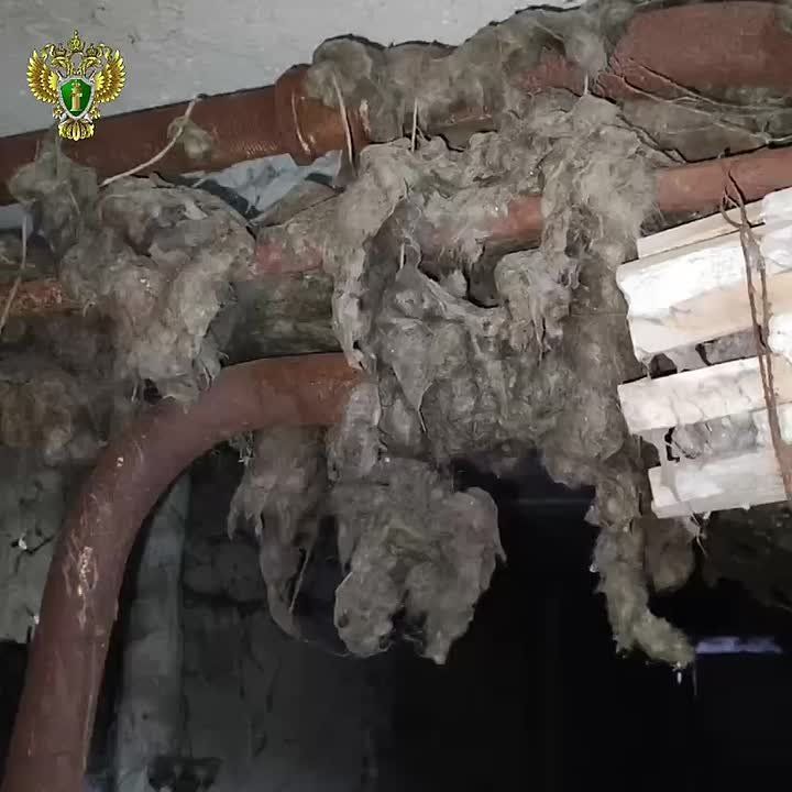 ����������� ������� ������� ���� ������������ �� ���������� ��� �� ���������� ����� � �������� ���������������� ����