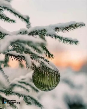 ����� ����� ������� � ����������?