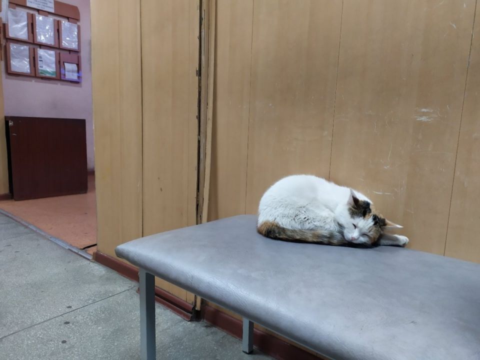 ��� �������, ��� � �������� � ���� �������� ������������� ����������