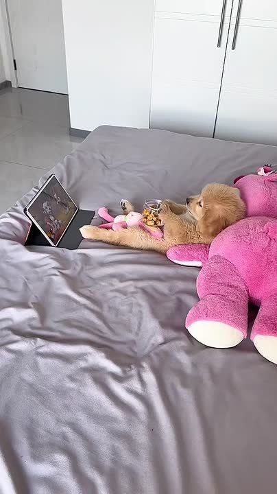 #������������31. ������� �������� ������������� ���� cinema ������� ��� ������, ������� ����� ������� ����������, � ���������� ��������������� ��������� ���������!