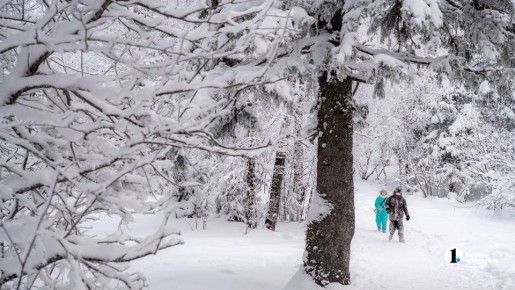 � ����������� ������� ������� ����� ������� ��� �� 10 �� ����� ����� �����