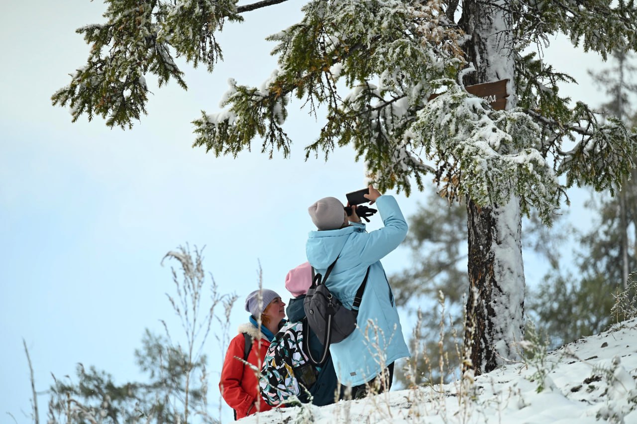 Список новогодних экомаршрутов составили в Челябинской области