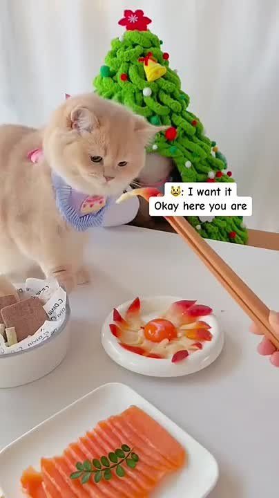 #������������31. �� ��� ���� X � ������! ���������� ����� ���������� � �������� �������� �� �� ���������, ������� ���������� ��� ������� ����