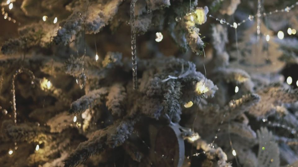 �������-��������� ������� ������ �������� �������� �������� ������� ����� � ������ ���������� ����������������� �����