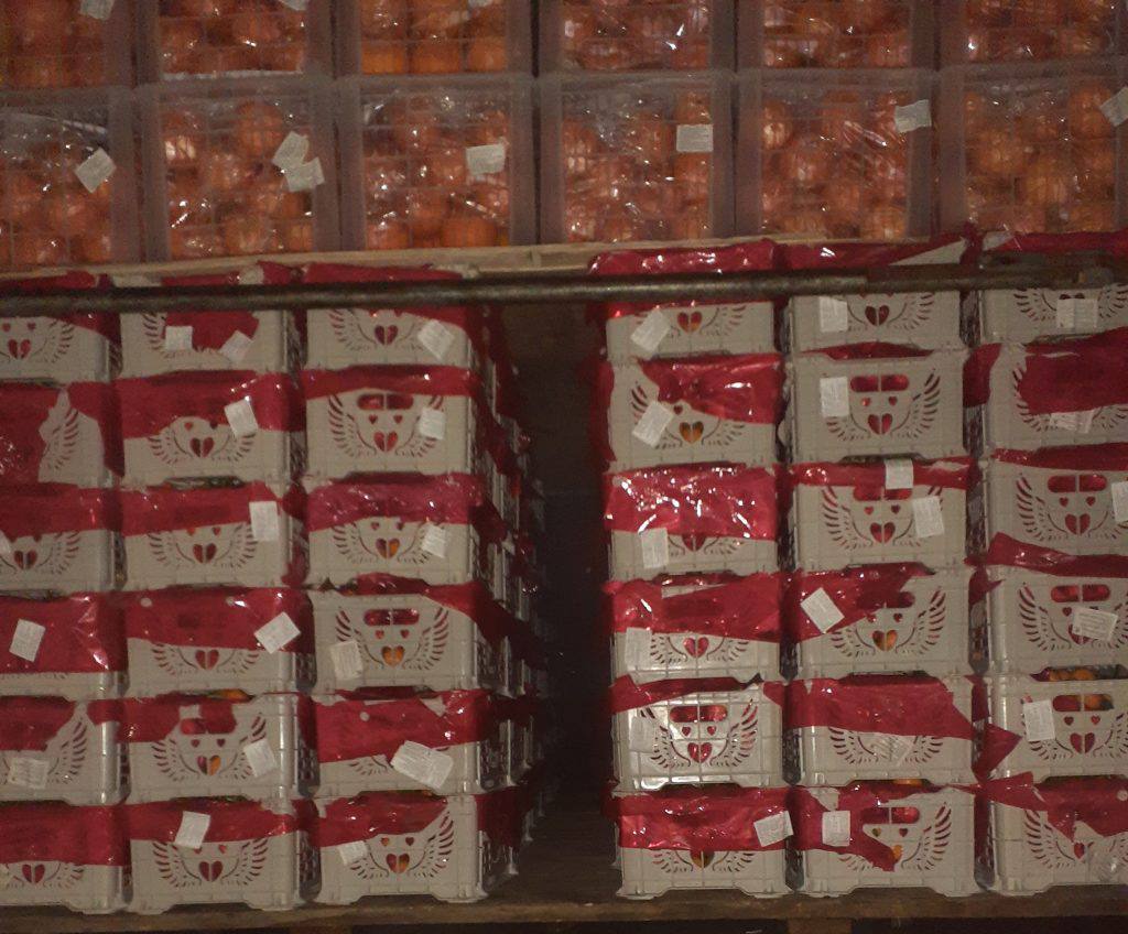 37 тонн цитрусовых не пустили в Челябинскую область из-за путаницы в документах