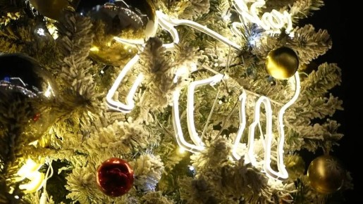 ������������ ������������� �������� ����������� ������� ������� �������, ����������� ������������ ������������ ����� ������� � ��������� �������� ������� ������ ����������� � ����������� ����� �����