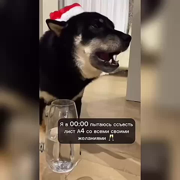 ��� �������� �������, ����� ��� ����� �������?