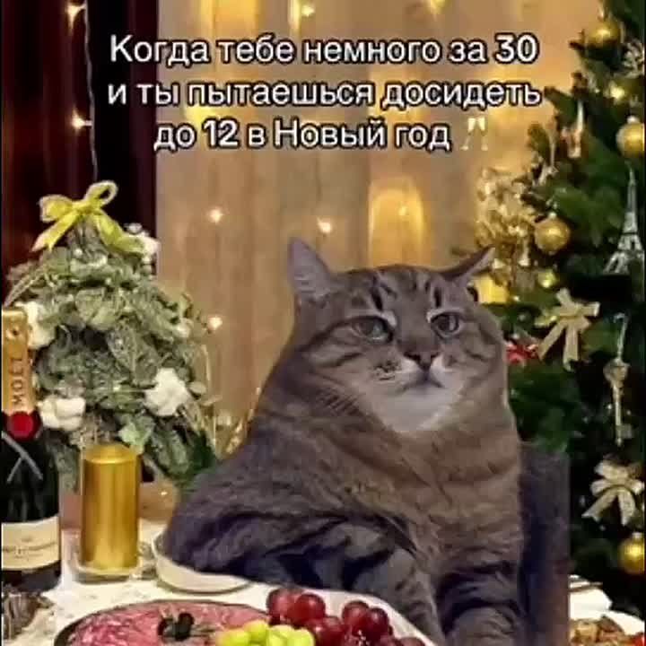 #������������31. ������� ��� ����� ����, �� ��� �������� �������� ��������� ����