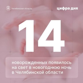 Всего в новогоднюю ночь родилось 14 малышей