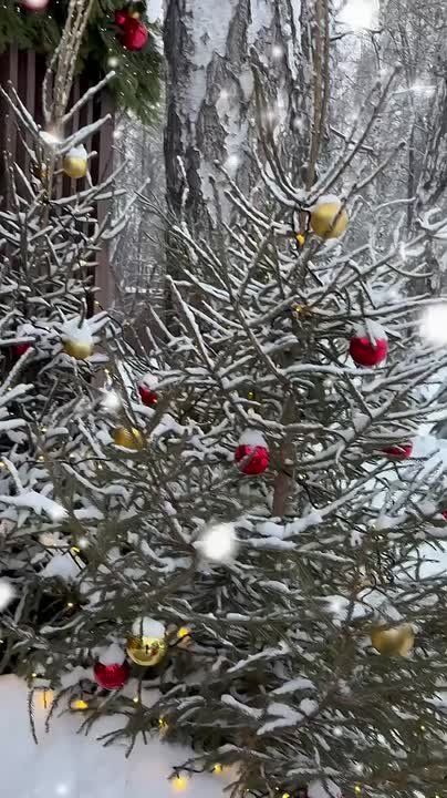 �������� ���� ������ � ���������� � ����� ���������� ��.�.�.�������