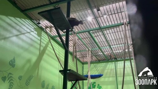 ����� �������� �������� ������������ �������� ������ ��������� � ������������