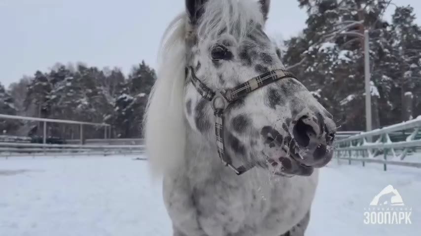 ��������� ���� ������ � ����� �� �������� - ��������� ����� �� ���������� ����������