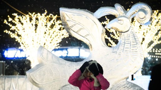 �� �������� � ������� ������� ����������������� ������ ����������