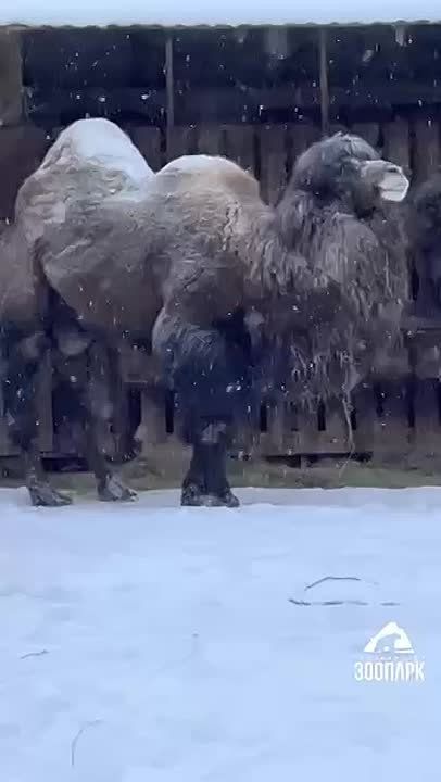 ����������, ��� ������ ���� � ���� � ������������� � ��������� �� ���������� ����������