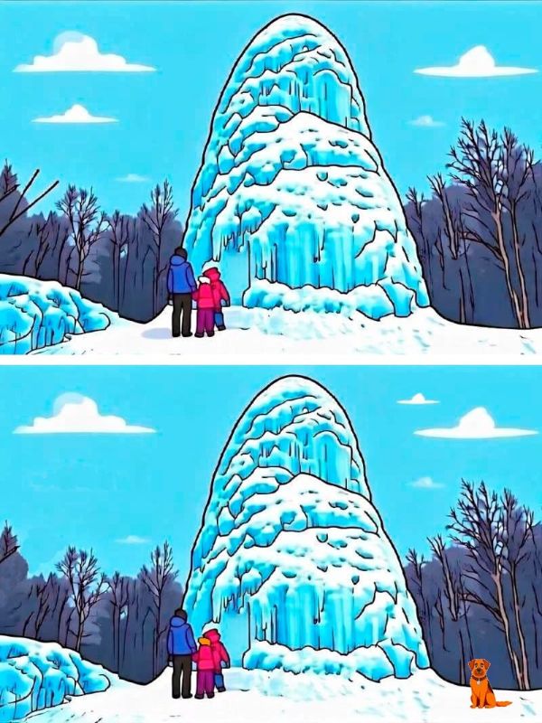 �� ��������� - ������ ���� ������, 2026-��, ����