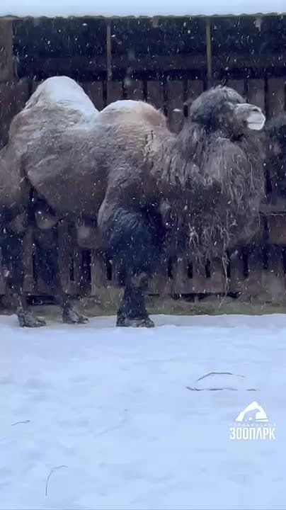 ������� 2-� ������, � ������� ��� ������ ���� ����� ��� �����������!