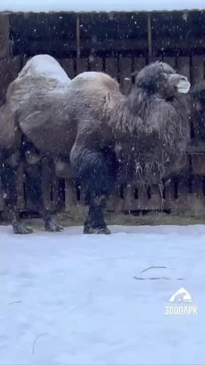 ������� 2-� ������, � ������� ��� ������ ���� ����� ��� �����������!