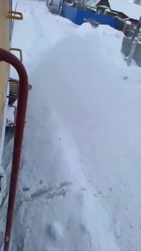 �������-������������. ����������� ��������� ��������, ��� �������� ����� �����-���������������